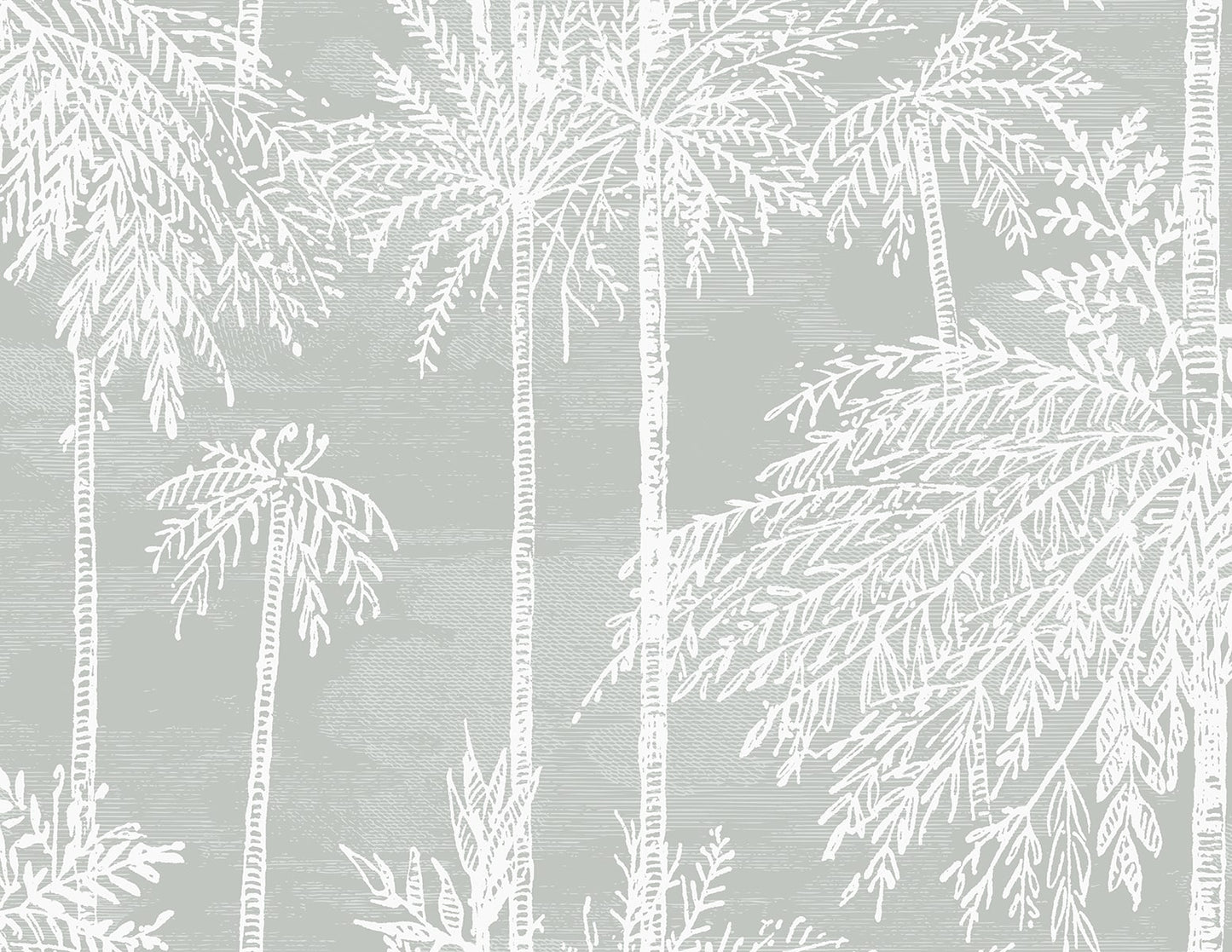LN40208 Lillian August Coastal Haven Wallpaper Palm Grove Misty