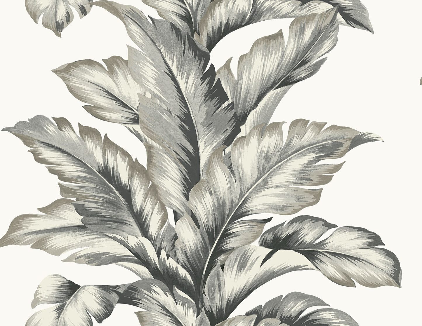 LN40600 Lillian August Coastal Haven Wallpaper Banana Springs Greystone