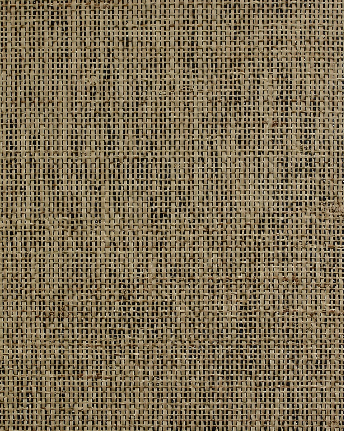 LN50086 Lillian August Lillian August Natural Textured Wallcoverings 2 Wallpaper Raw Jute Papyrus