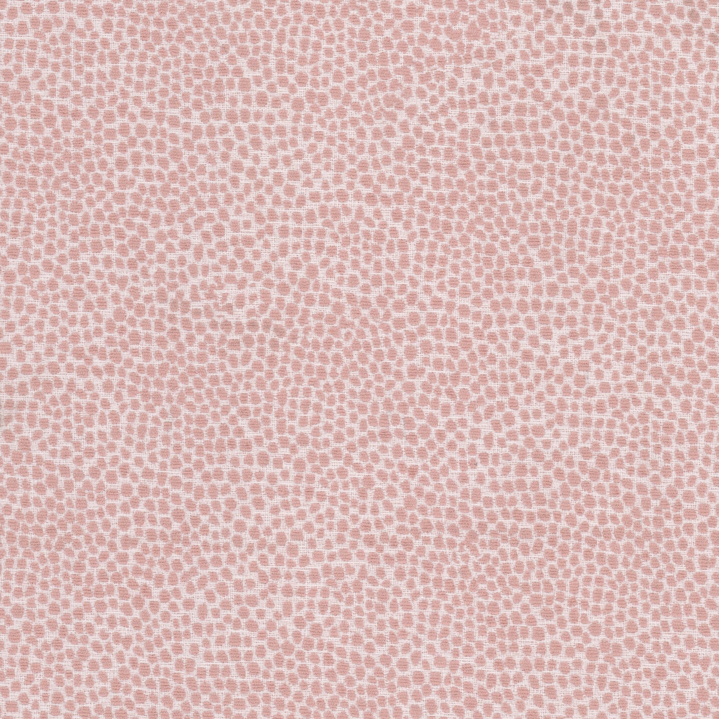 LOLLYPOP Stout Upholstery
