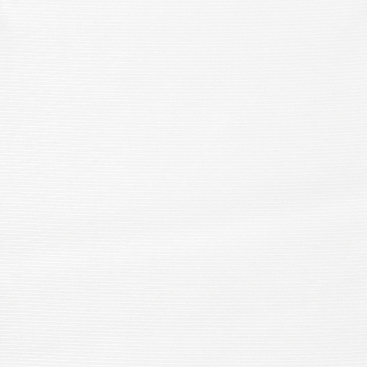 LOOSE Stout Multi-Purpose