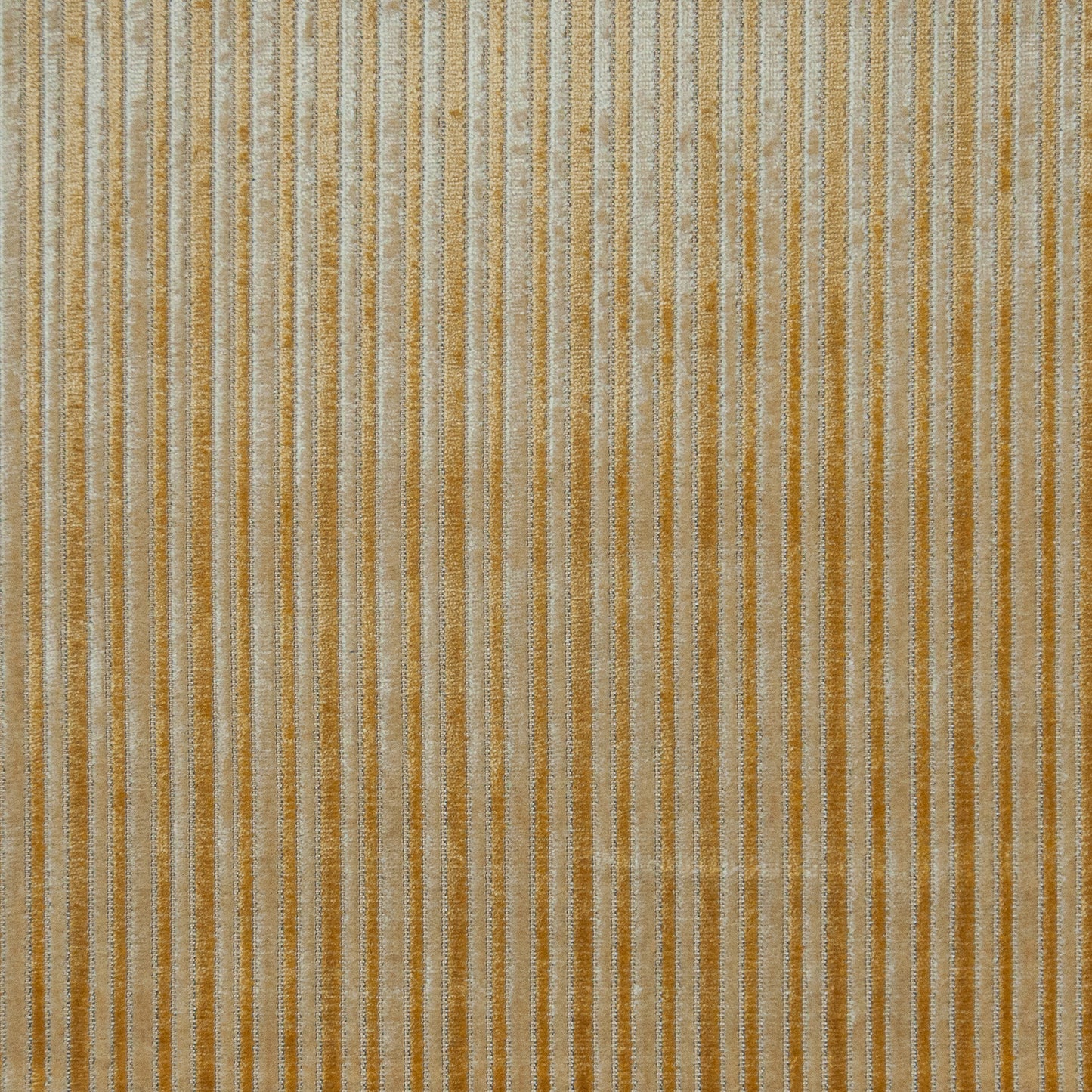 LS0638 Maxwell VELVET PATTERN # 638 HARVEST PCVELVETS
