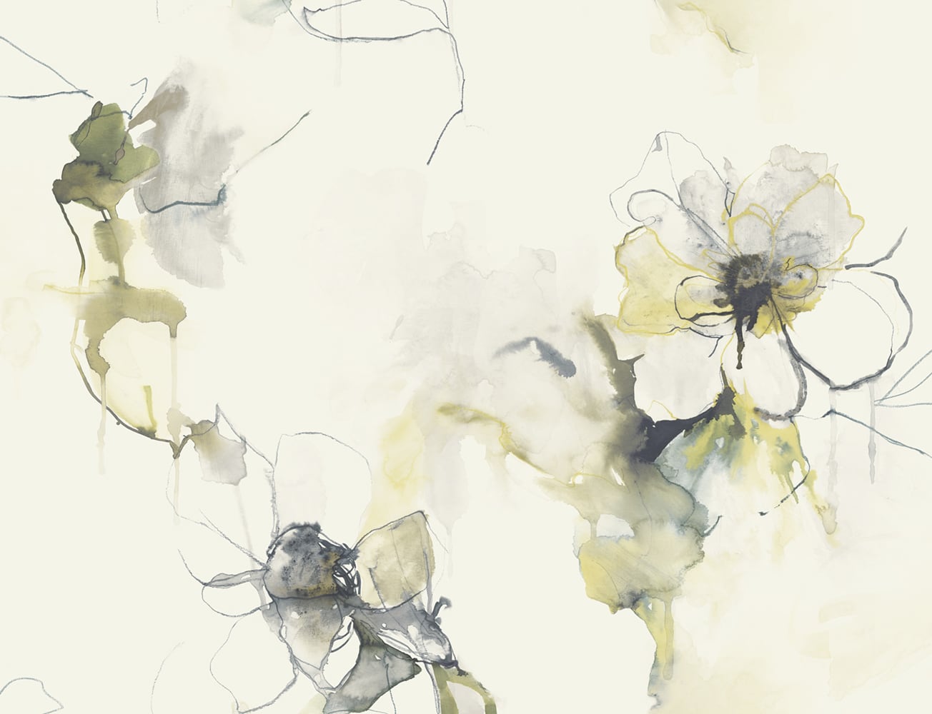 LW50007 Seabrook Designs Living with Art Wallpaper Anemone Watercolor Floral Dark Ash and Canary