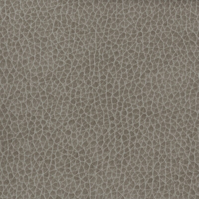 MATTER-1121 KRAVET BASICS MATTER-1121 KRAVET BASICS UPHOLSTERY