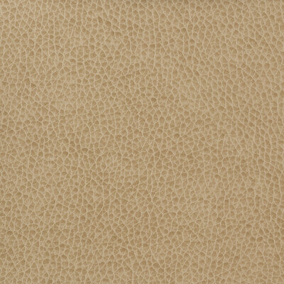 MATTER-1616 KRAVET BASICS MATTER-1616 KRAVET BASICS UPHOLSTERY