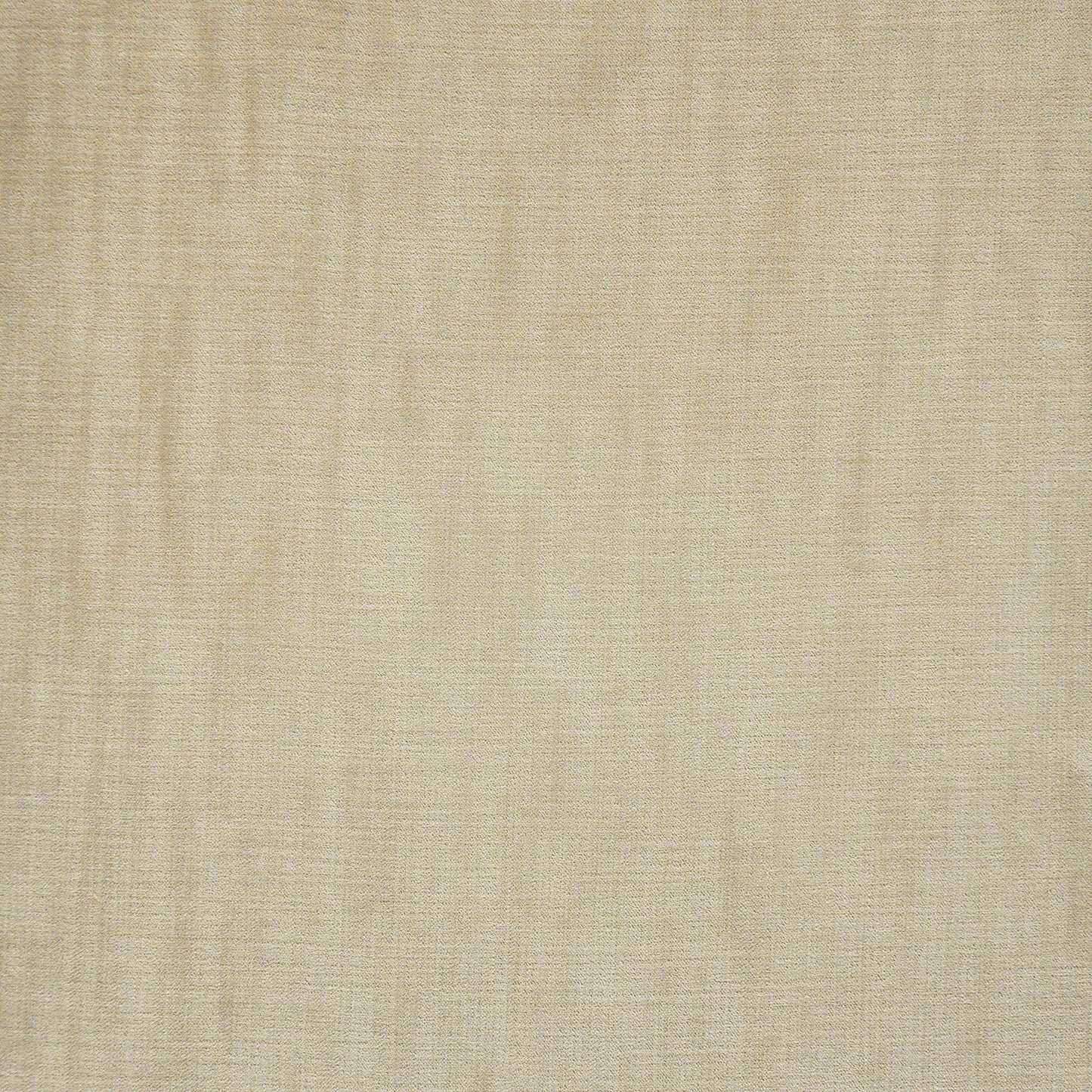MW0707 Maxwell VELVET SOLID/TEXTURE # 707 SAVANNAH VELVETROOM