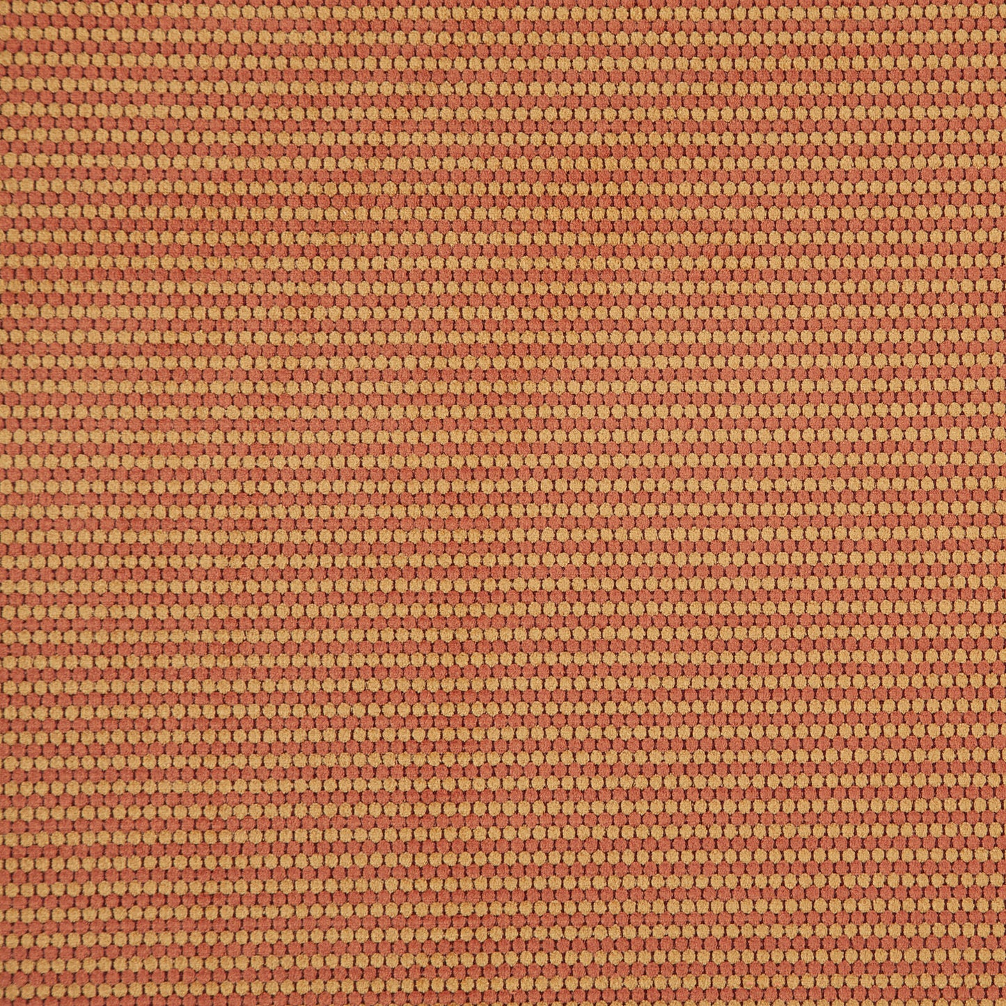 MY0503 Maxwell UPHOLSTERY PATTERNS # 503 SIENNA CG-NECTAR