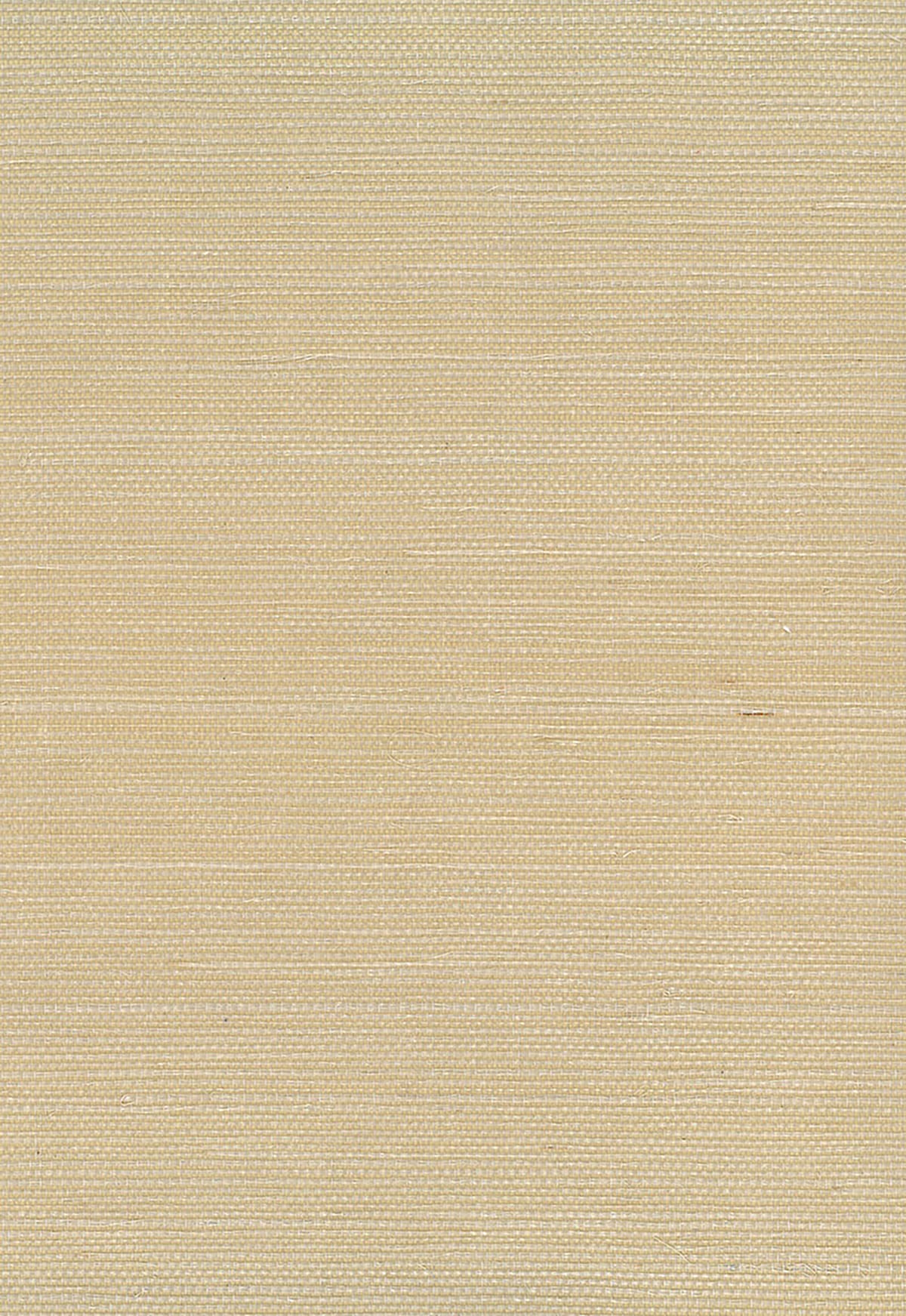 NA206 Seabrook Designs Natural Resource Wallpaper Sisal Neutrals