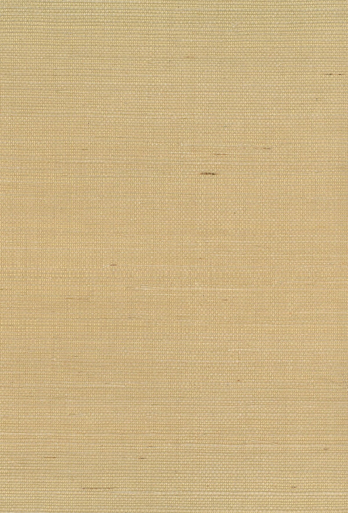 NA211 Seabrook Designs Natural Resource Wallpaper Sisal Brown