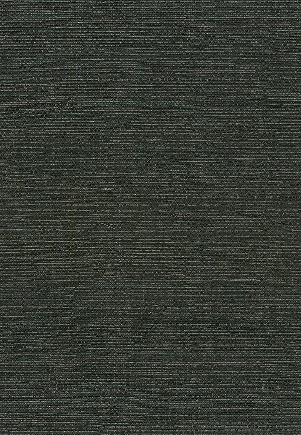 NA214 Seabrook Designs Natural Resource Wallpaper Sisal Black