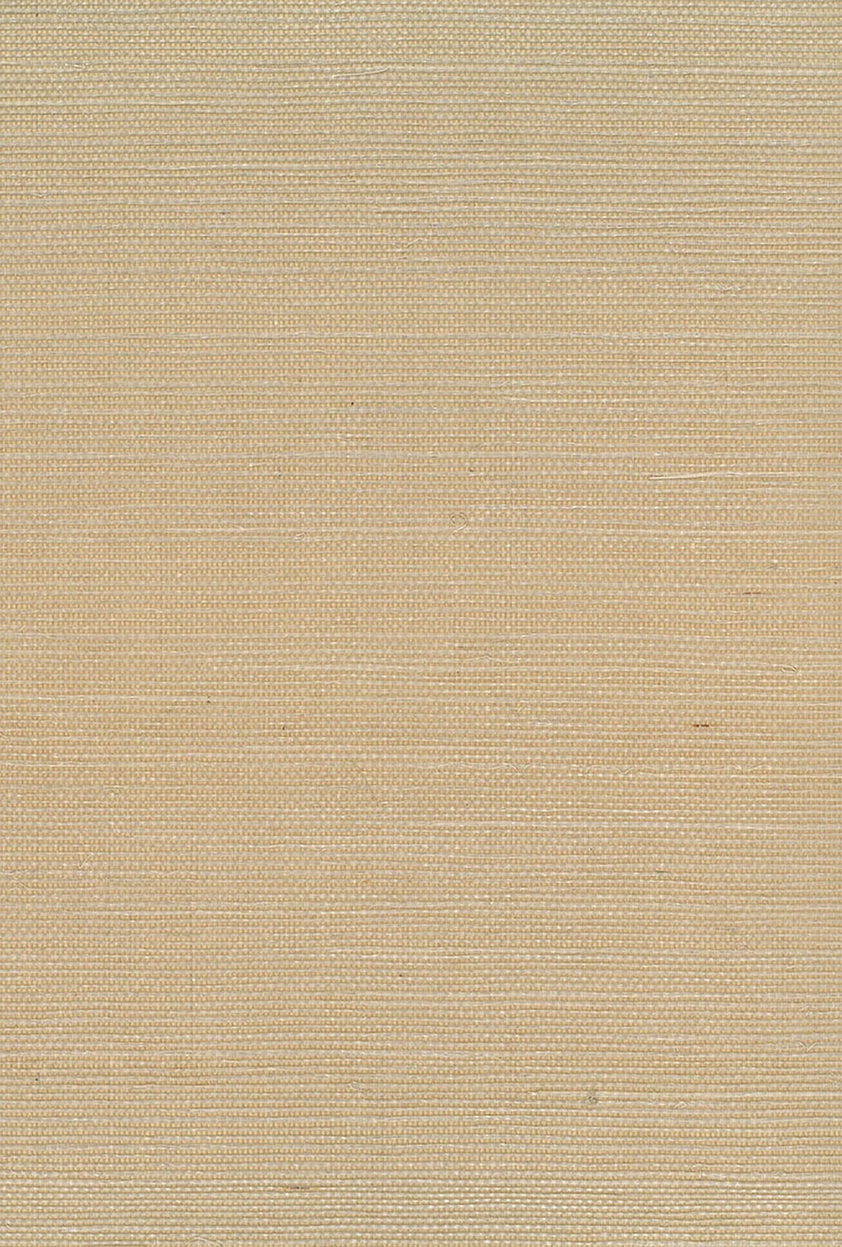 NA219 Seabrook Designs Natural Resource Wallpaper Sisal Neutrals