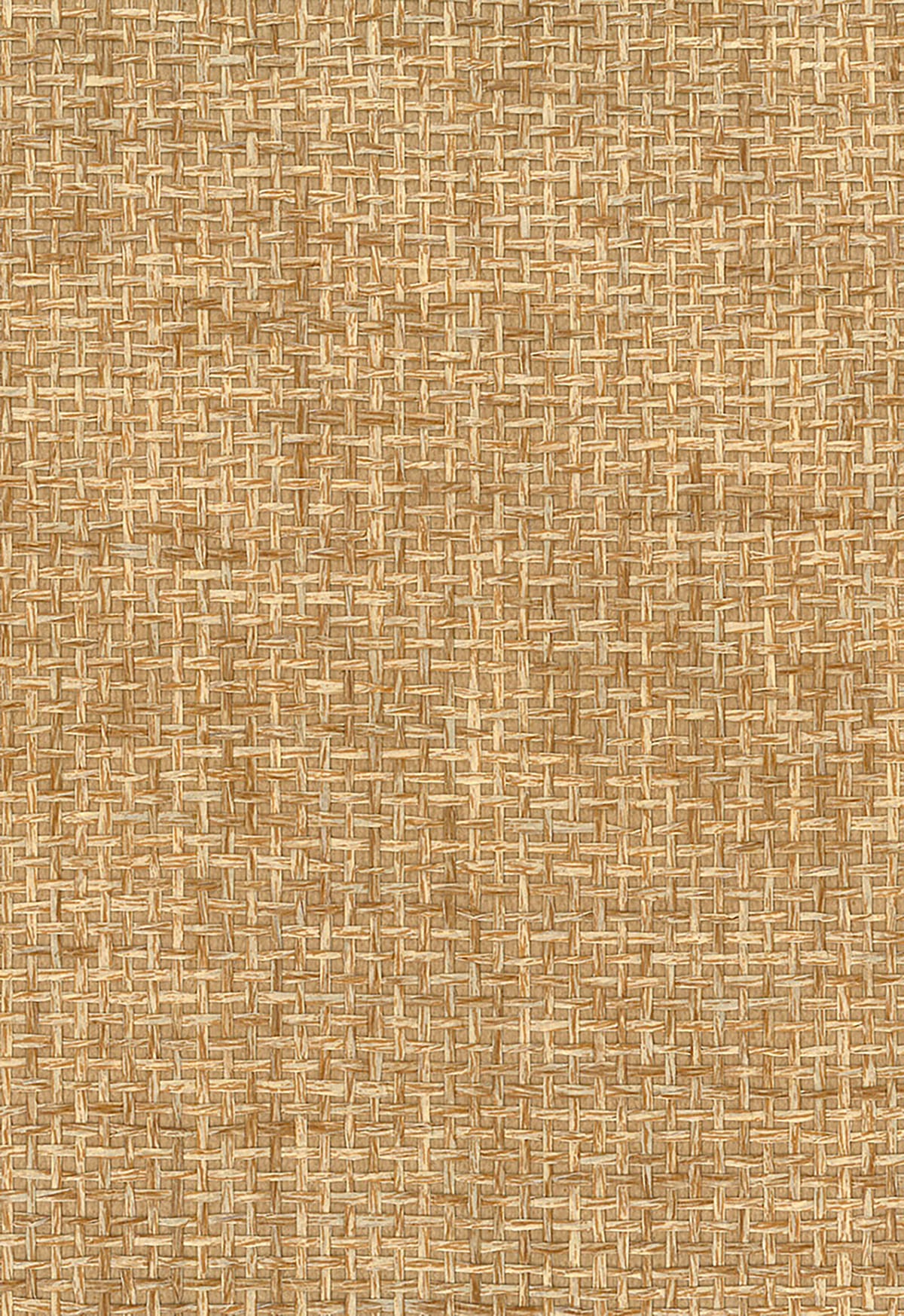 NA501 Seabrook Designs Natural Resource Wallpaper Paperweave Brown
