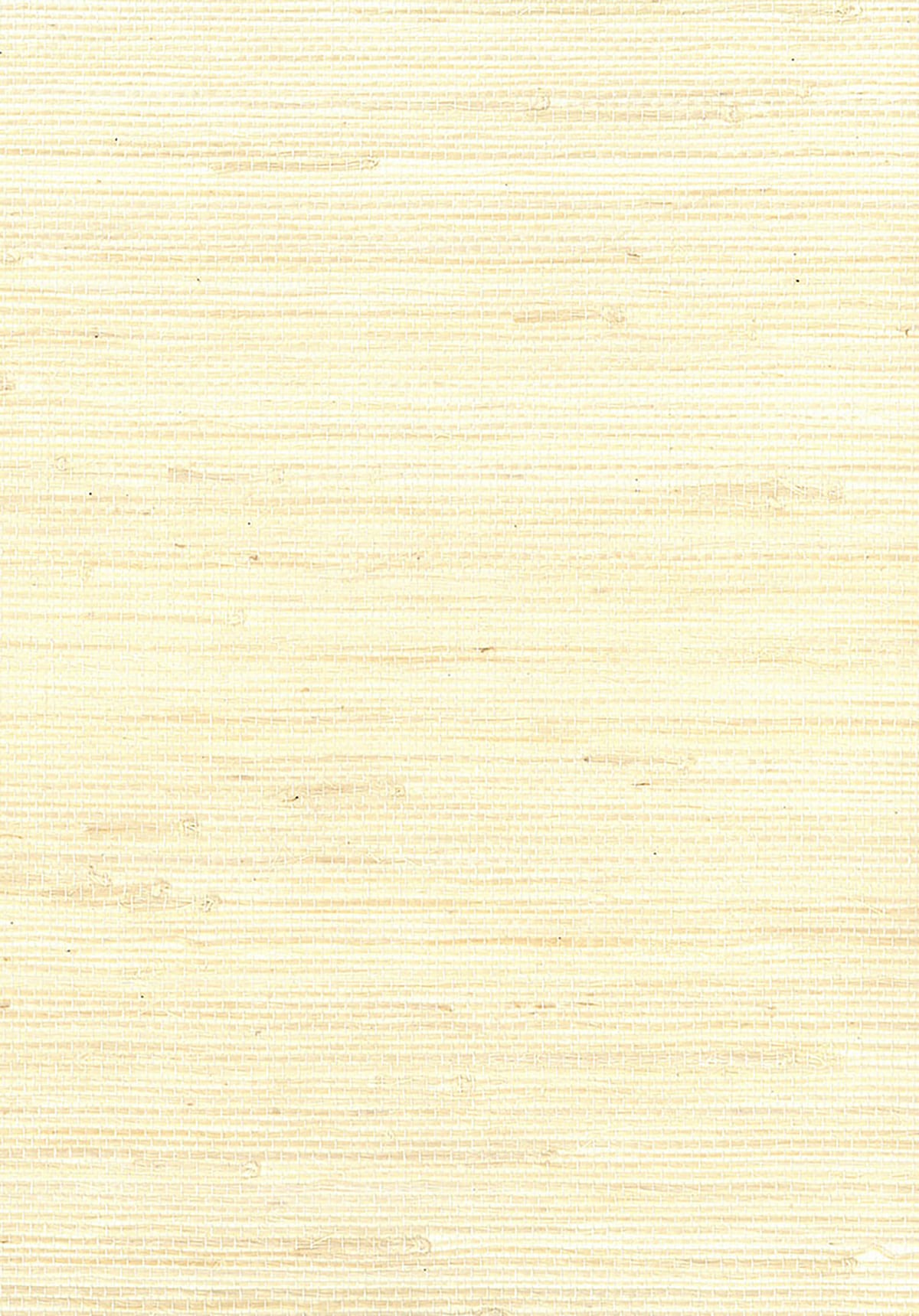 NR131X Seabrook Designs Natural Resource Wallpaper Jute Off-White