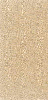 NUOSTRICH-1116 NUOSTRICH PUTTY KRAVET BASICS UPHOLSTERY