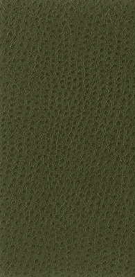 NUOSTRICH-30 KRAVET BASICS NUOSTRICH-30 KRAVET BASICS UPHOLSTERY