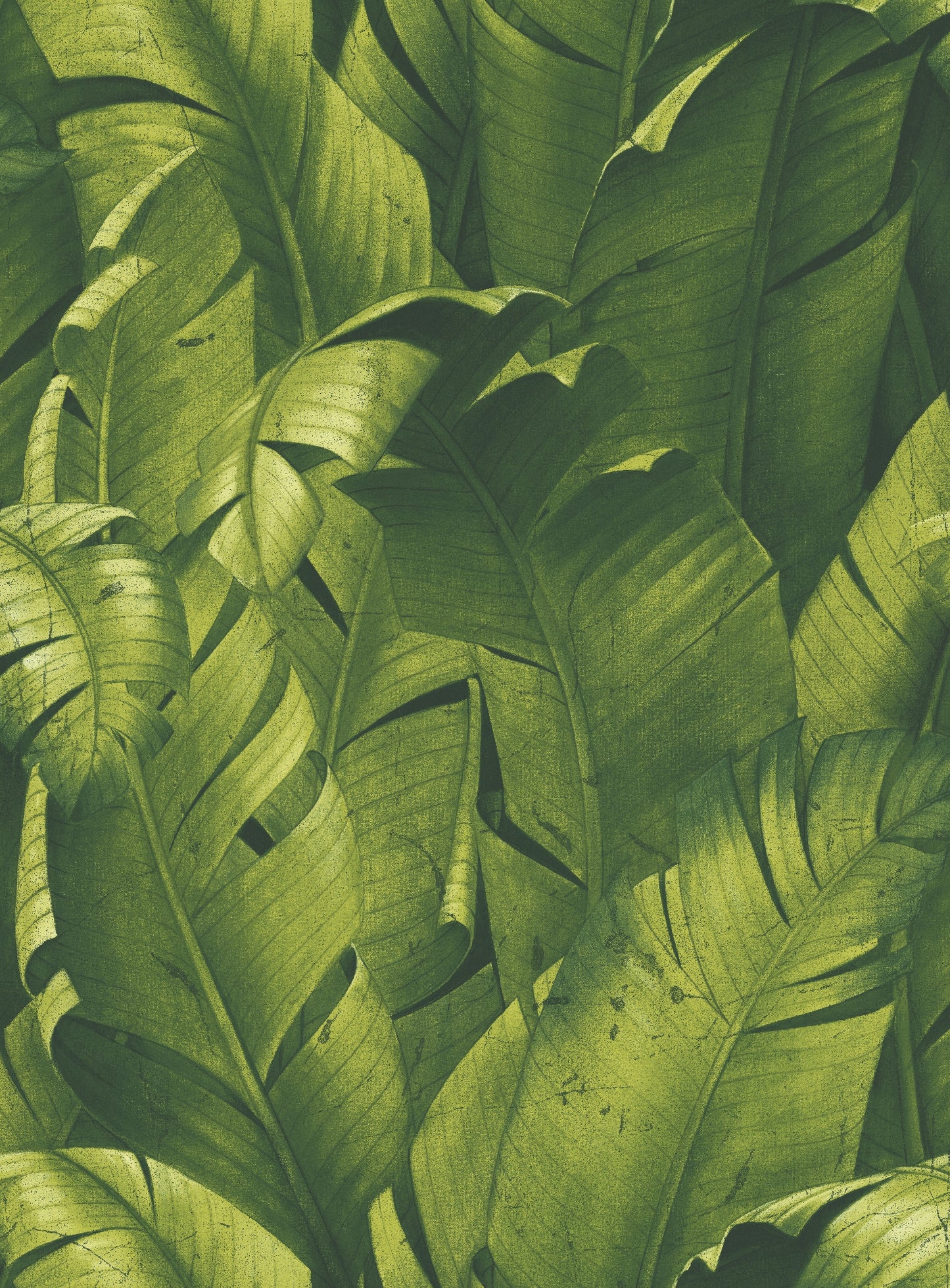 NW31000 NextWall NextWall Peel & Stick Wallpaper Tropical Banana Leaves Green