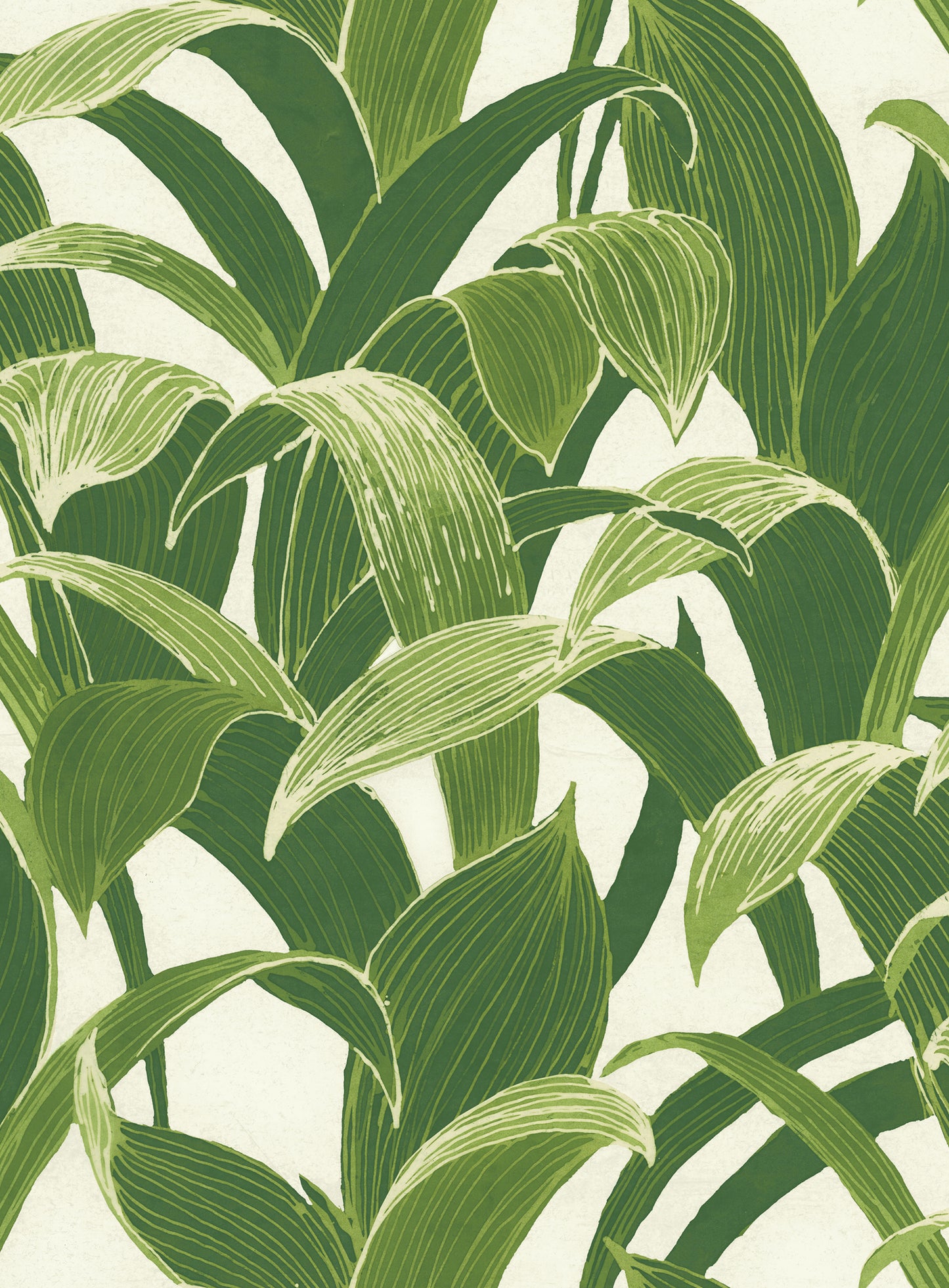 NW31300 NextWall NextWall Peel & Stick Wallpaper Banana Groves Green & White