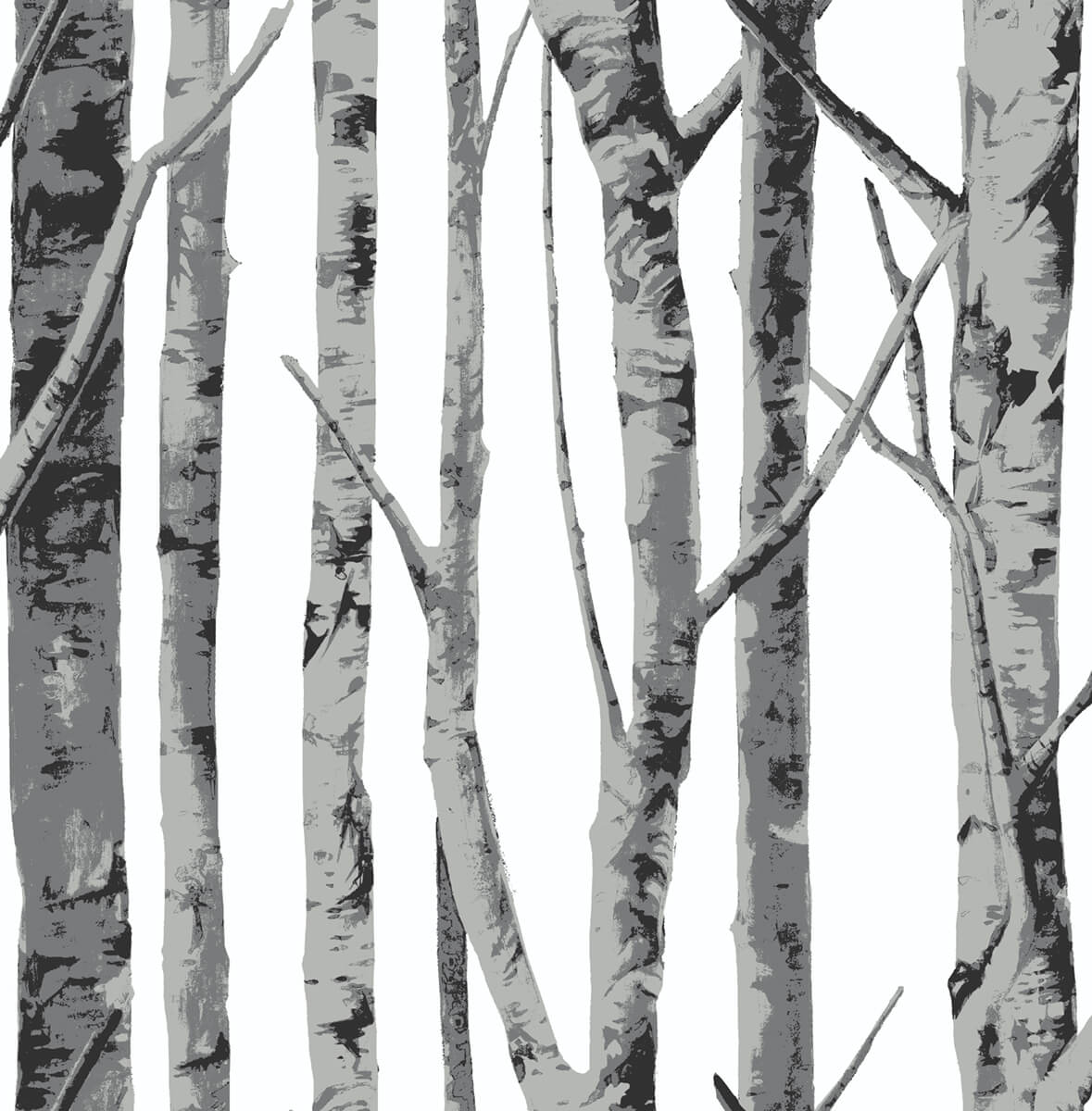 NW34800 NextWall NextWall Peel & Stick Wallpaper Birch Trees Monochrome