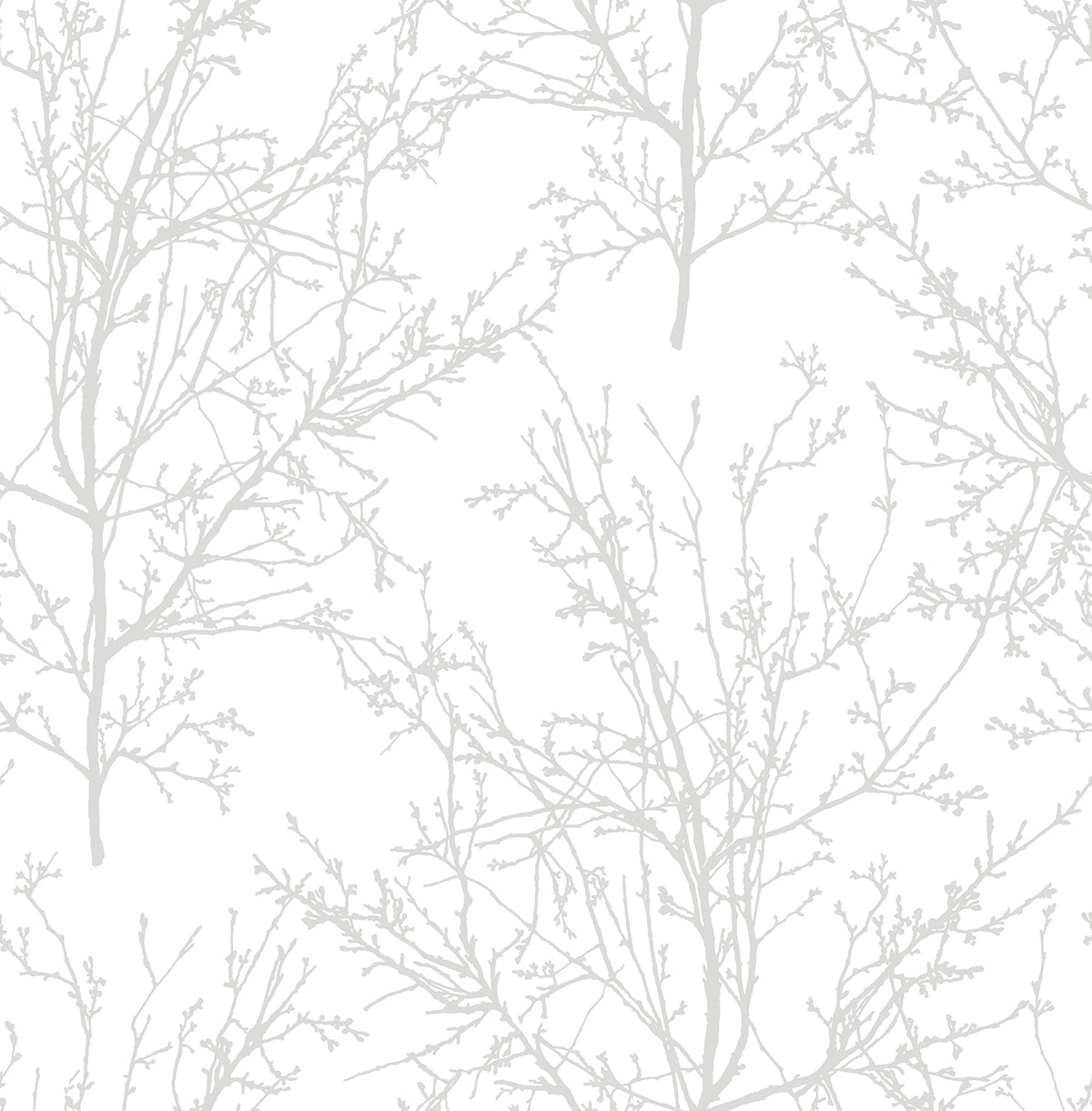 NW36118 NextWall NextWall Peel & Stick Wallpaper Tree Branches Pearl Gray