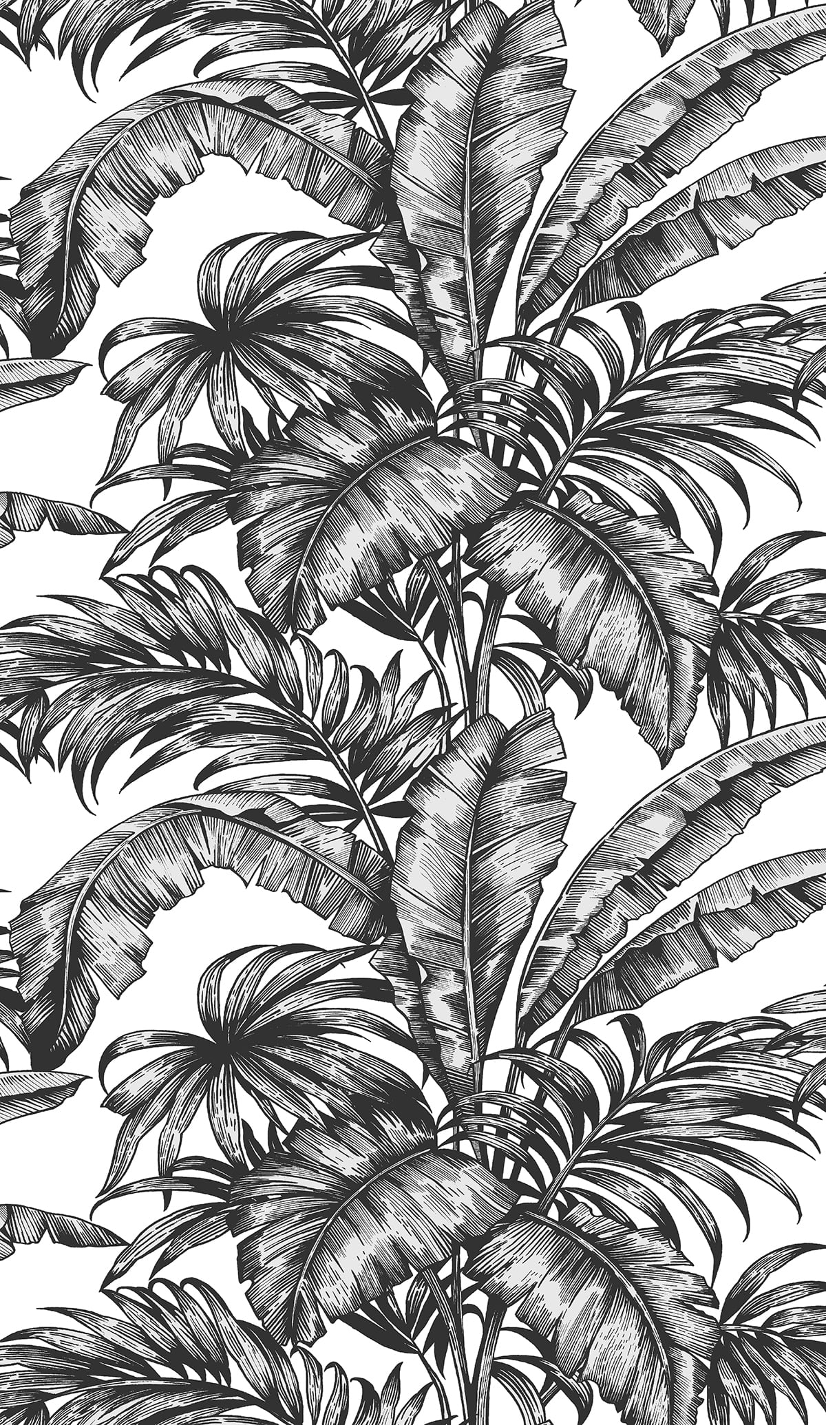 NW40400 NextWall NextWall Peel & Stick Wallpaper Palm Jungle Ebony & Pearl