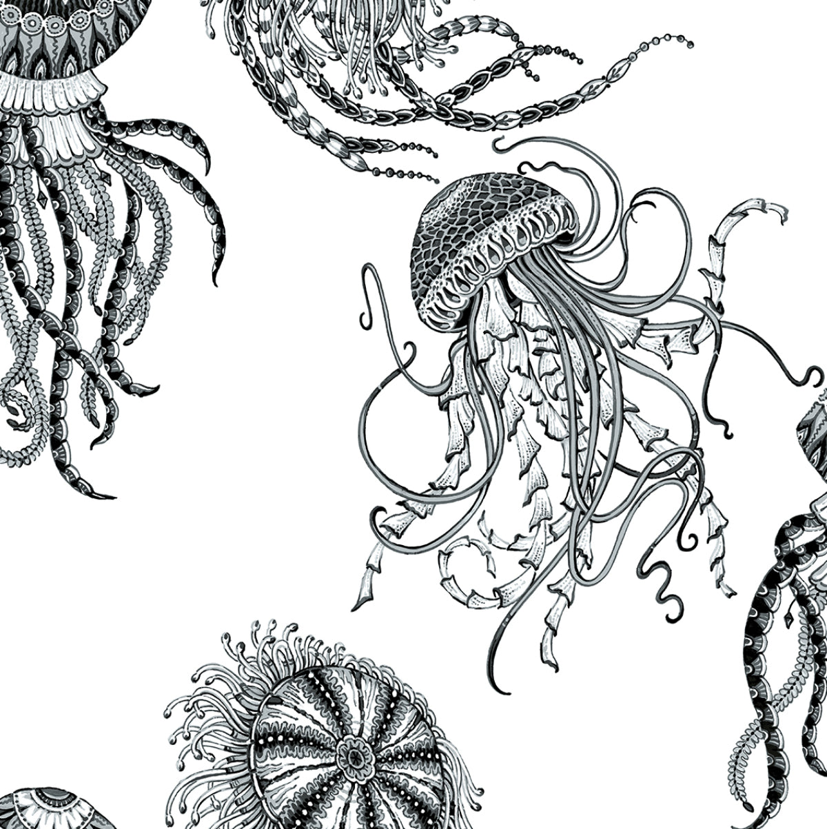 NW48400 NextWall NextWall Peel & Stick Wallpaper Jellyfish Inkwell