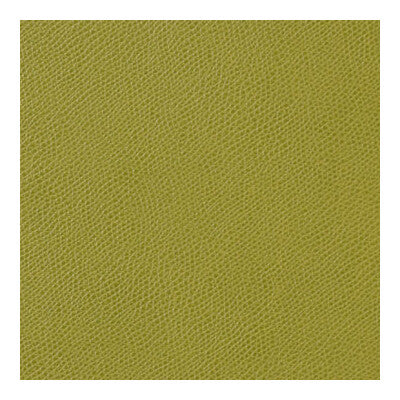 OPHIDIAN-23 OPHIDIAN LIME KRAVET CONTRACT UPHOLSTERY