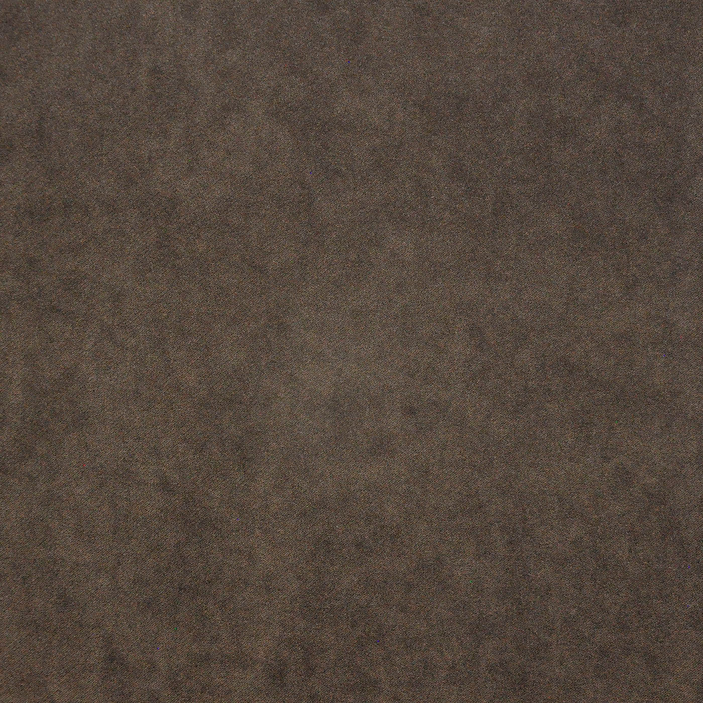 PAD406 Maxwell INDOOR/OUTDOOR # 406 MOOSE HG-ACTVII