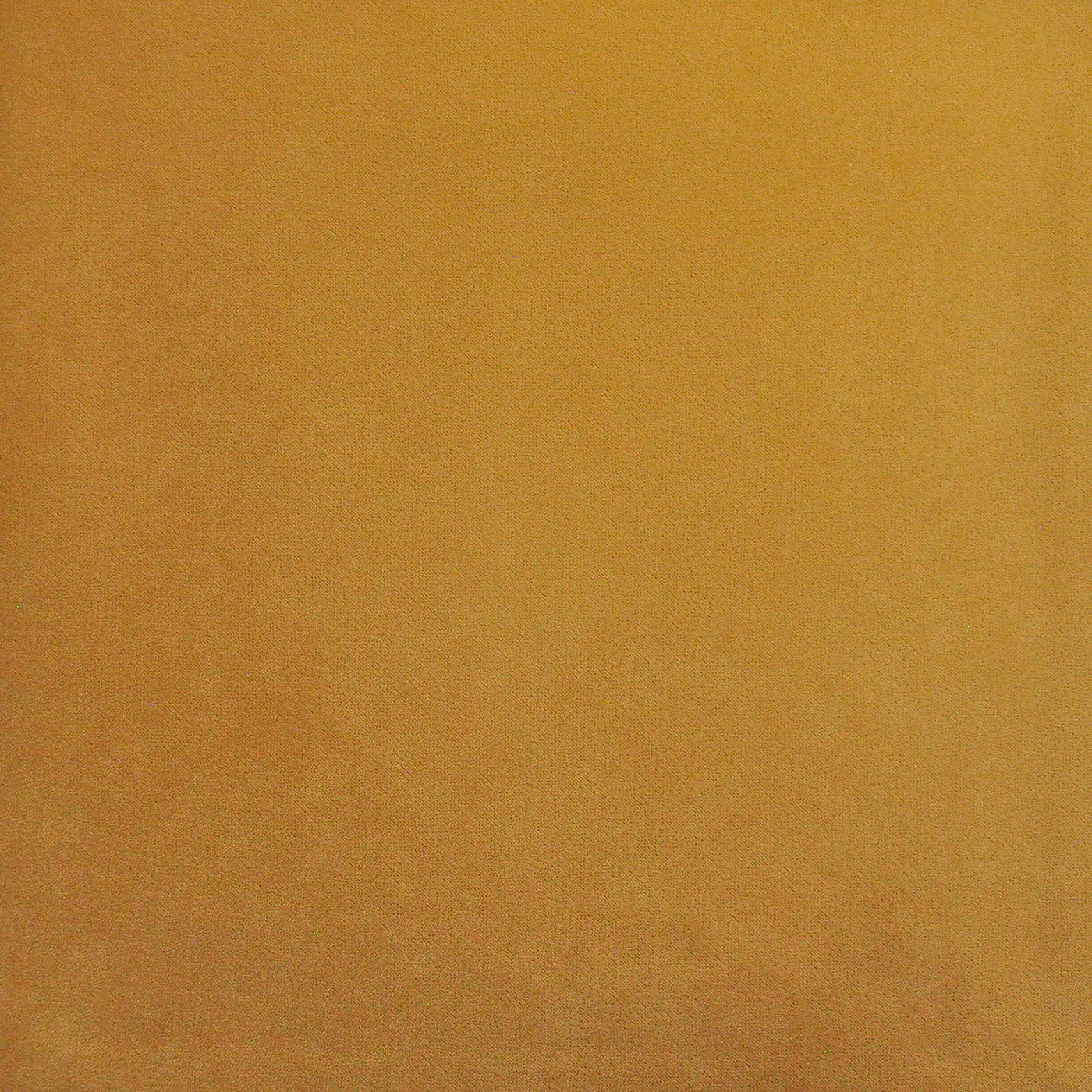 PAD423 Maxwell INDOOR/OUTDOOR # 423 BUTTER HG-ACTVII