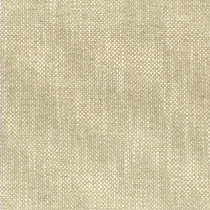 PANI-1 STOUT PANIC 1 CHAMPAGNE CHAMPAGNE UPHOLSTERY