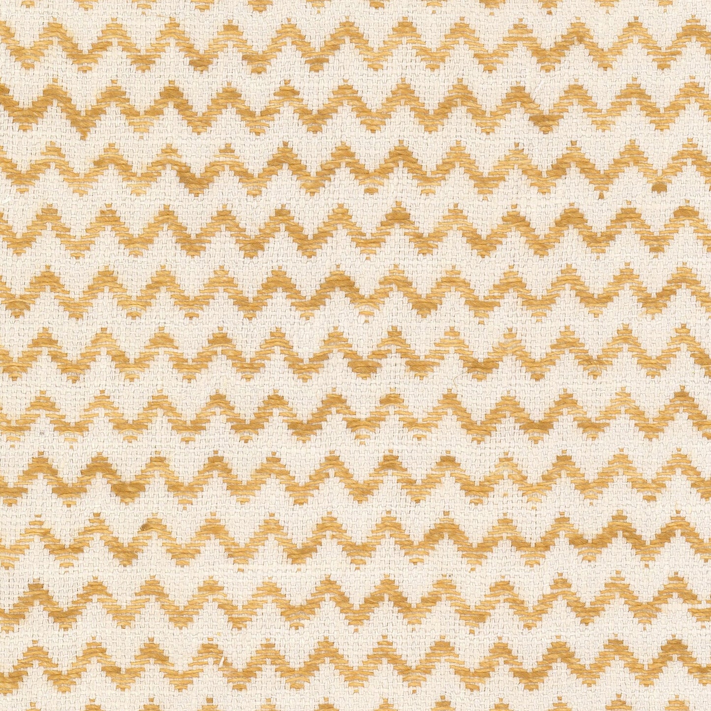 PAULINA Stout Multi-Purpose