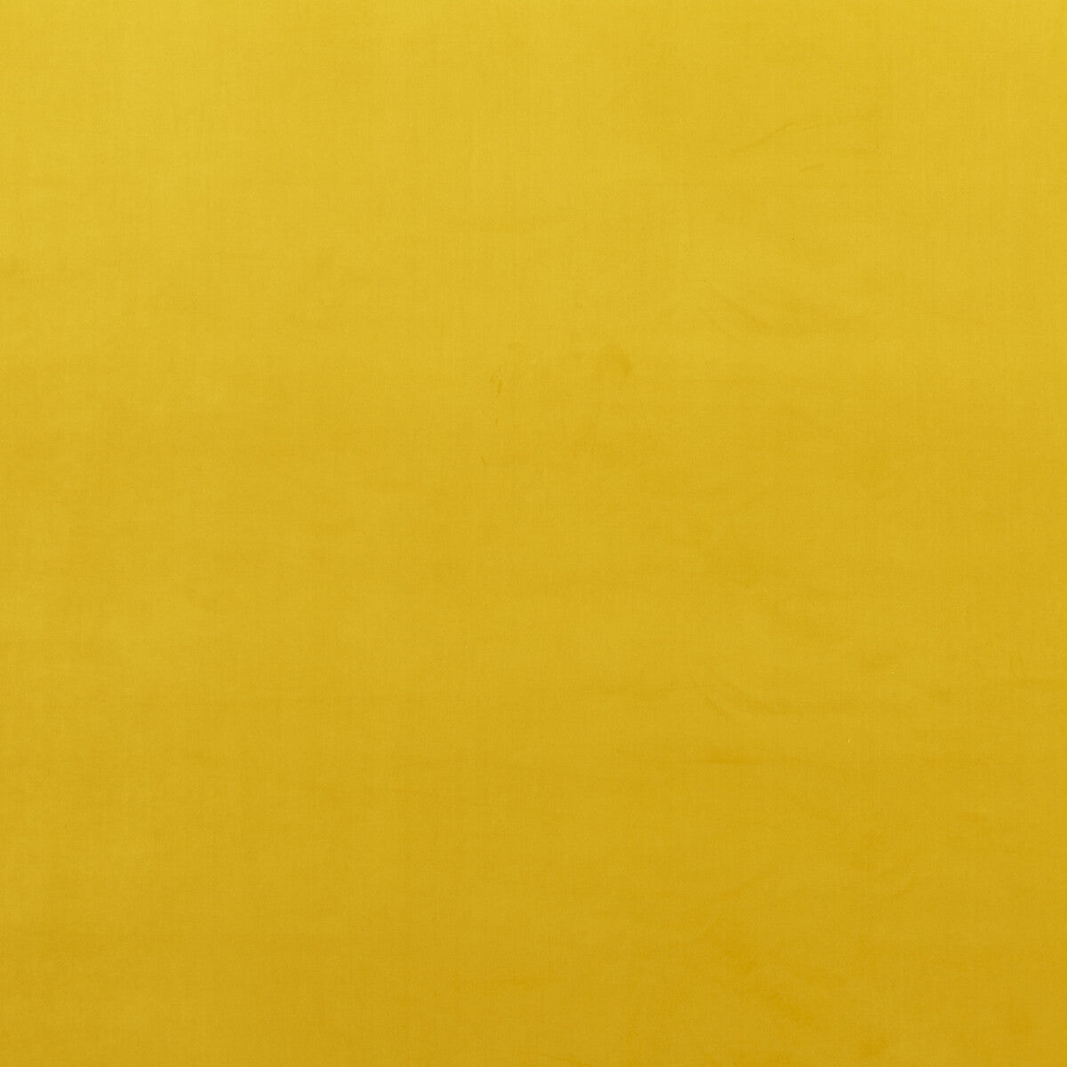 PF50417-840 MONTPELLIER VELVET OCHRE BAKER LIFESTYLE Fabrics Drapery Upholstery