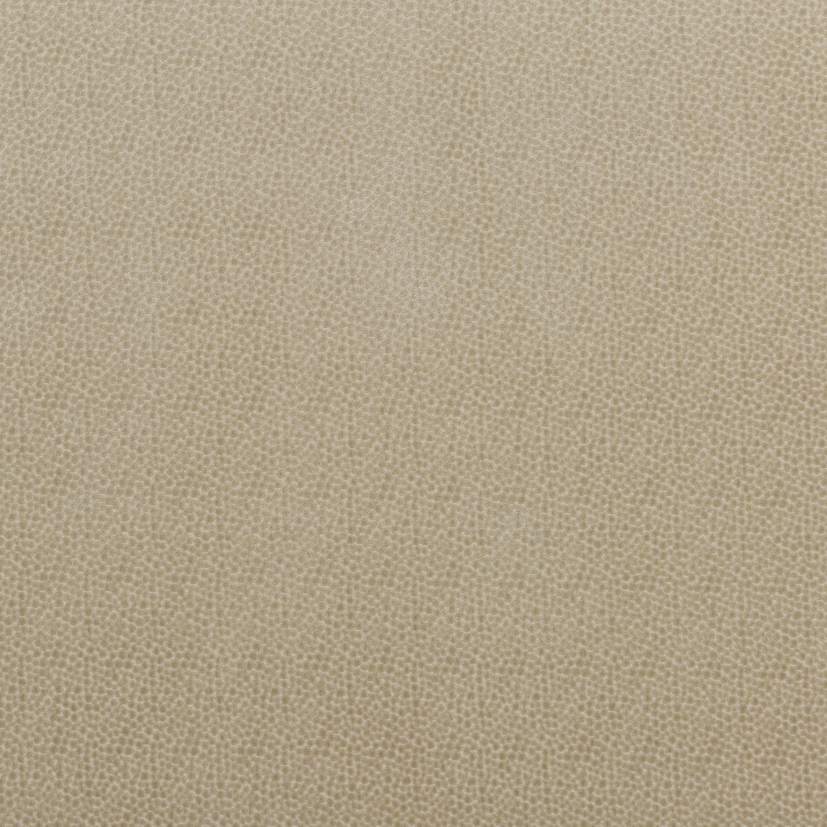 PF50423-225 SALSA SPOT PARCHMENT BAKER LIFESTYLE UPHOLSTERY