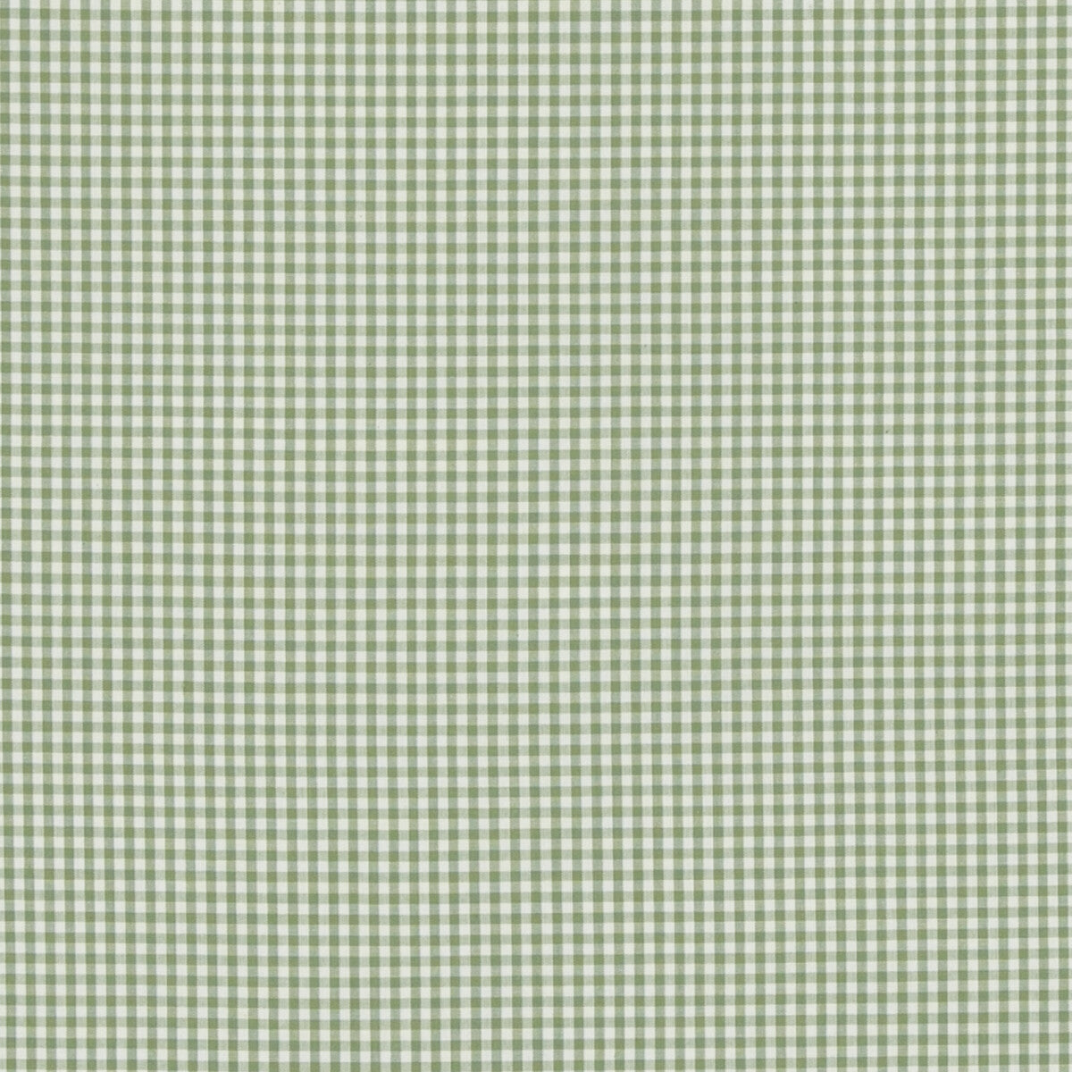 PF50506-735 SHERBORNE GINGHAM GREEN BAKER LIFESTYLE Fabrics Drapery Upholstery
