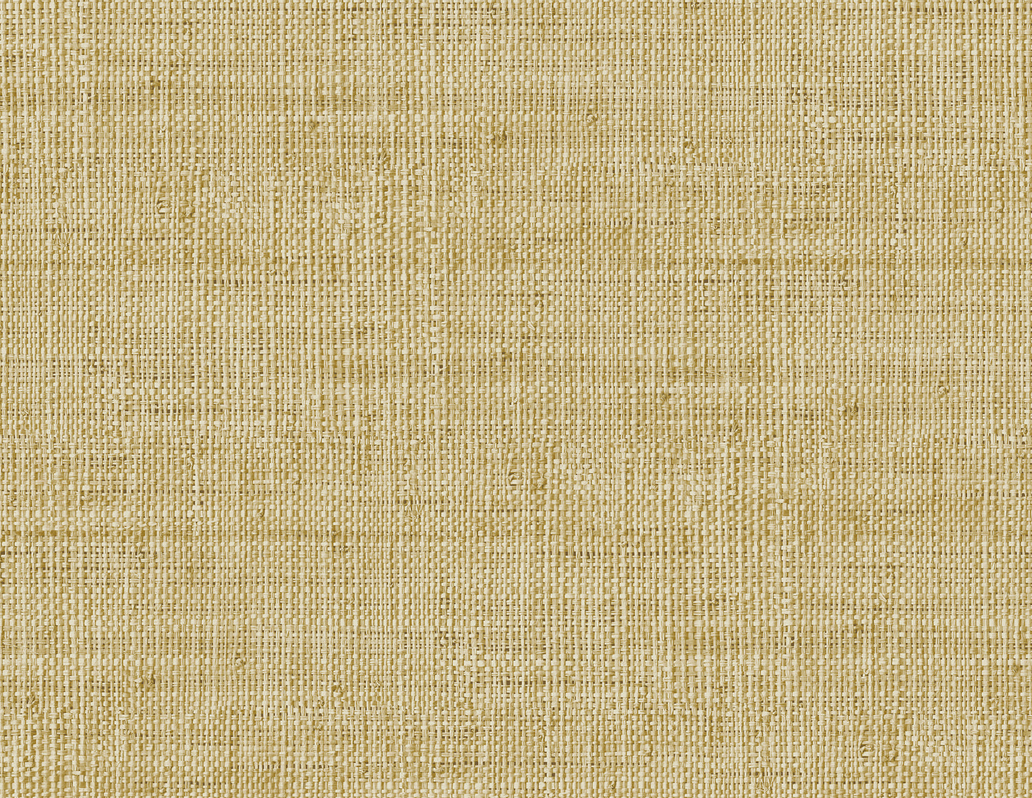 RA40314 Seabrook Designs Raffia Wallpaper Wild Bind Honey