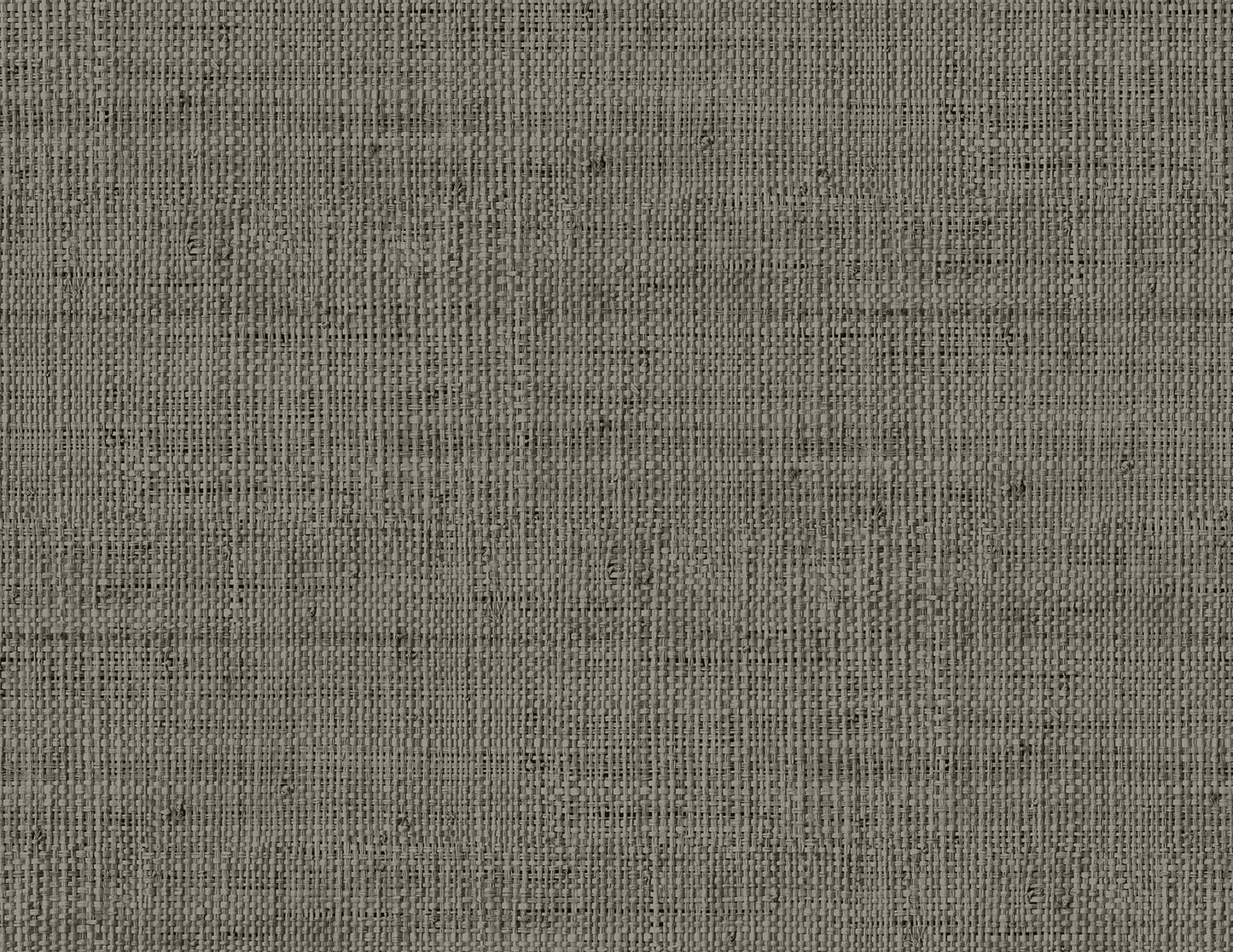 RA40319 Seabrook Designs Raffia Wallpaper Wild Bind Grey Storm