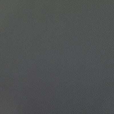 RAND-511 RAND SHARK KRAVET CONTRACT UPHOLSTERY