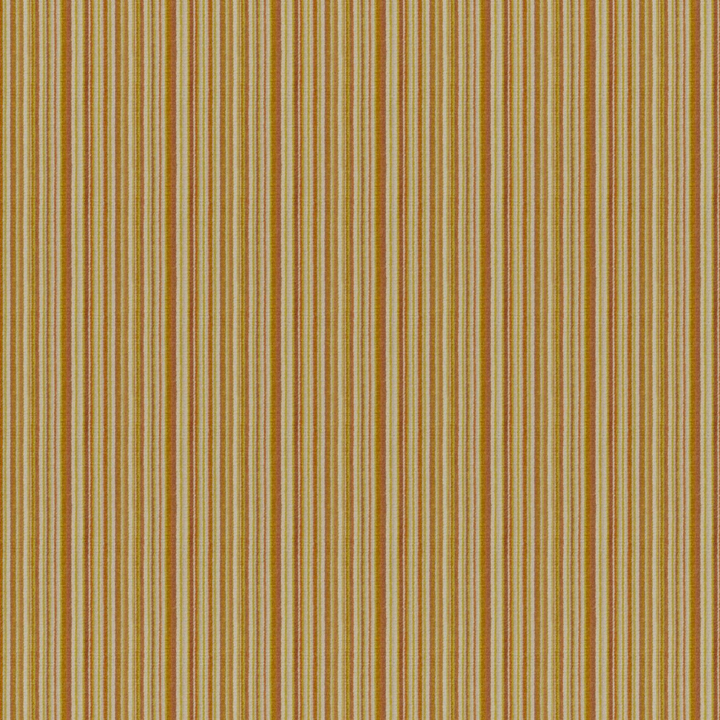 RO0533 Maxwell UPHOLSTERY STRIPES # 533 GOLD CG-NECTAR