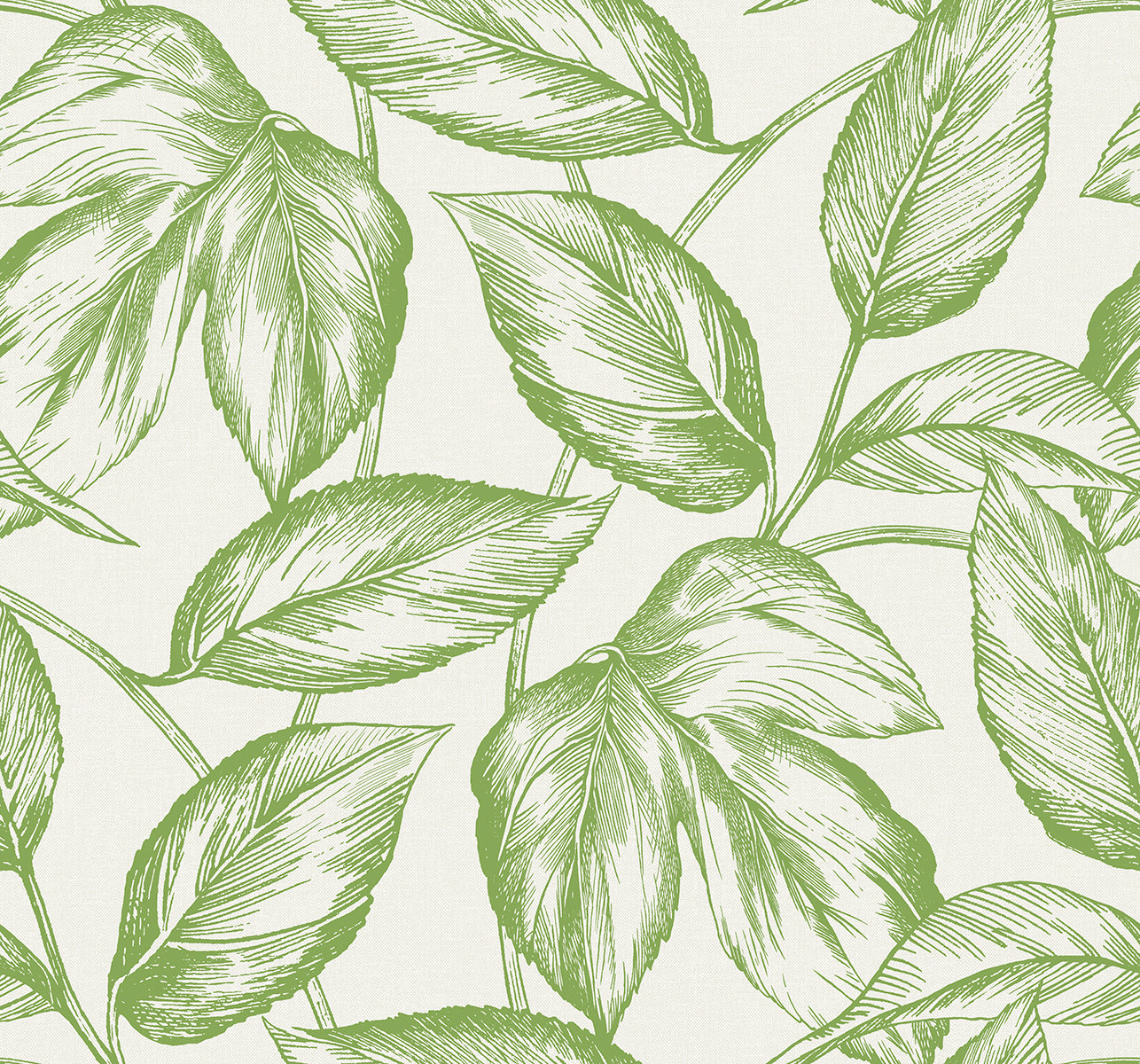 SC20004 Seabrook Designs Summer House Wallpaper Beckett Sketched Leaves Apple Green