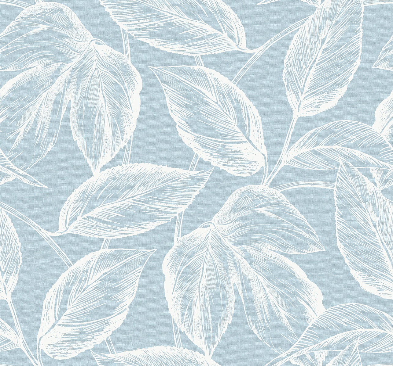 SC20022 Seabrook Designs Summer House Wallpaper Beckett Sketched Leaves Baby Blue