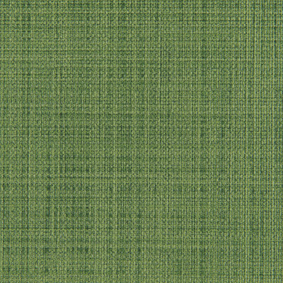 SCRIMSHAW-3 SCRIMSHAW CACTUS KRAVET CONTRACT UPHOLSTERY