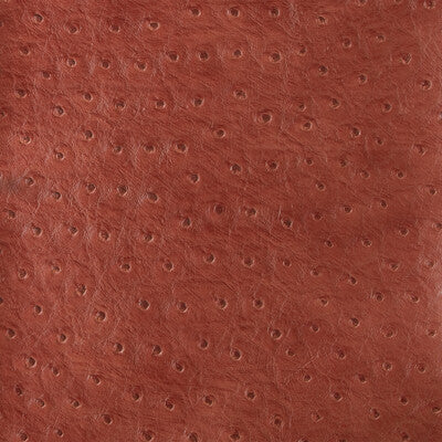 SENNA-19 KRAVET DESIGN SENNA-19 KRAVET DESIGN UPHOLSTERY