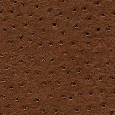 SENNA-6 KRAVET DESIGN SENNA-6 KRAVET DESIGN UPHOLSTERY