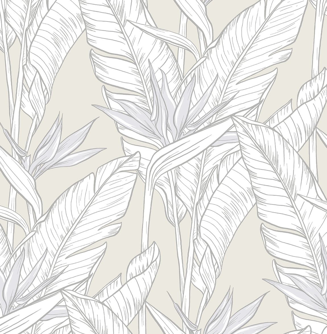 SG11905 Stacy Garcia Home Stacy Garcia Peel and Stick Wallpaper Birds of Paradise Pearl Grey & Metallic Silver