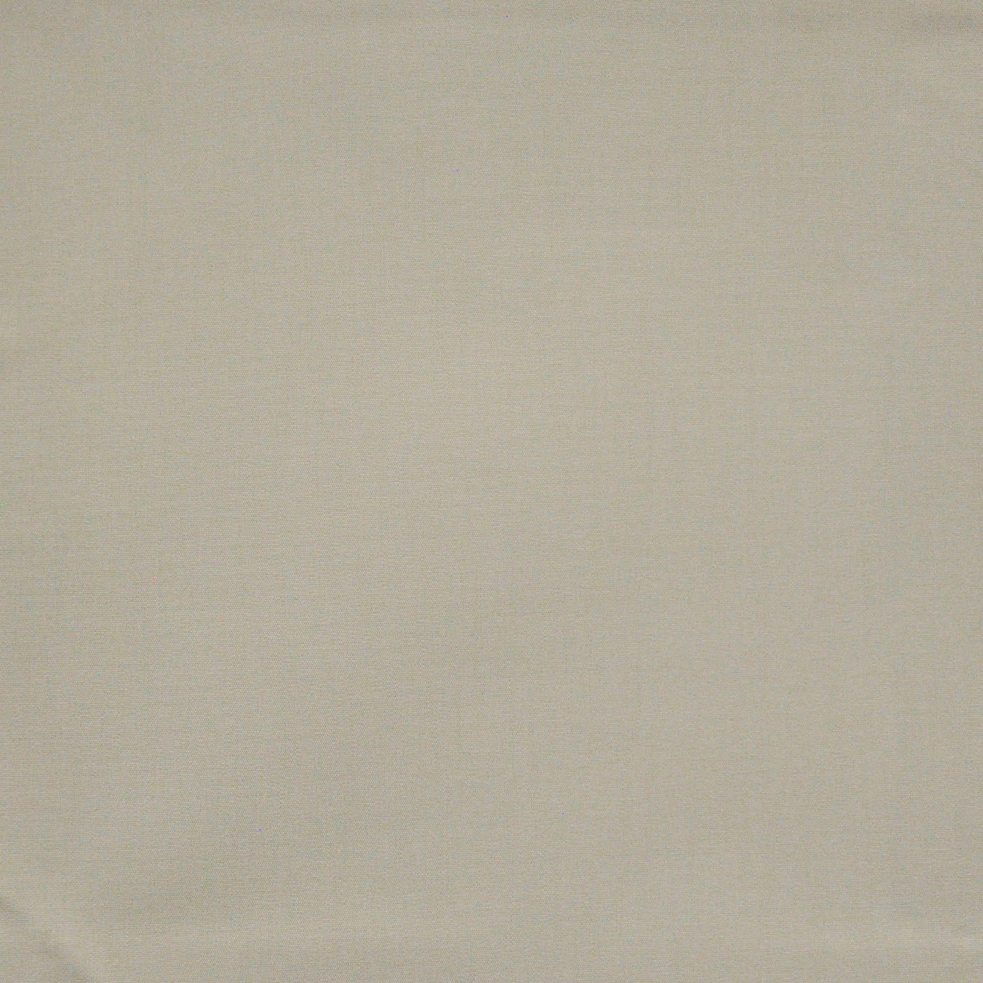 SMT665 Maxwell INDOOR/OUTDOOR # 665 GESSO HG-ACTVI