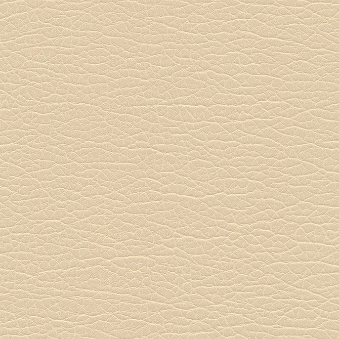 SNC1191 Maxwell FABRIC # 1191 CASHEW MO-COATEDFABRICS