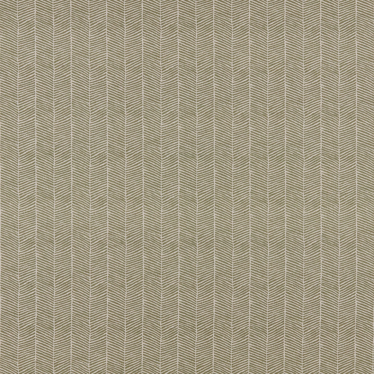 SOO512 Maxwell PRINTS # 512 EUCALYPTUS PRINTGALLERYIII