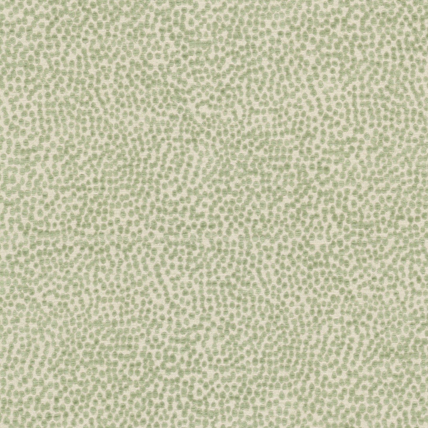 SPOTSWOOD Stout Upholstery