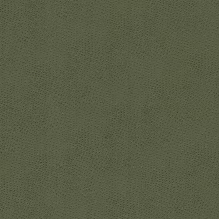 STEE-2 STOUT STEEPLECHASE 2 DILL DILL UPHOLSTERY