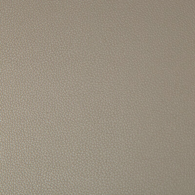 SYRUS-106 SYRUS DRIFTWOOD KRAVET CONTRACT UPHOLSTERY