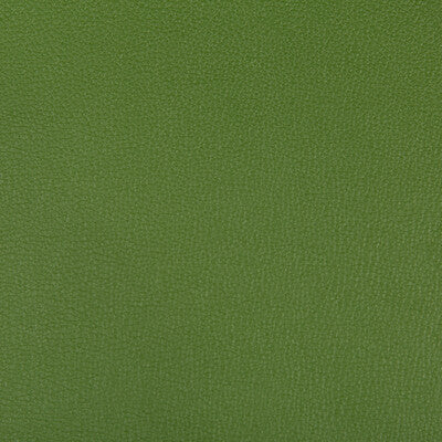 SYRUS-303 SYRUS BONSAI KRAVET CONTRACT UPHOLSTERY